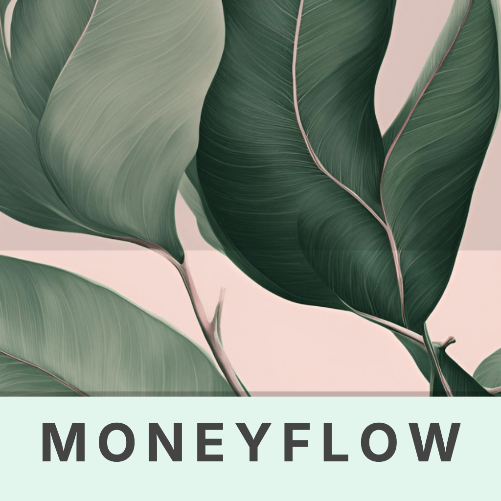 Moneyflow App Icon